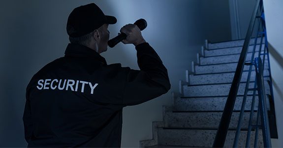 security-company-summary