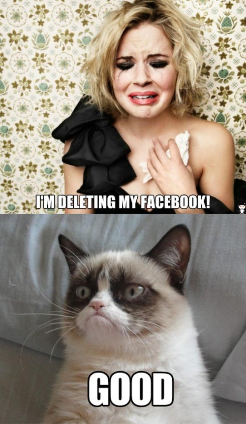 Grumpy Cat Memes-Funky Marketing