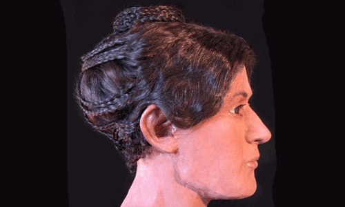 3D-Printed-Egyptian-Hair-3D Printing Ideas