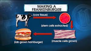 Frankenburger-Lab-Grown Meat
