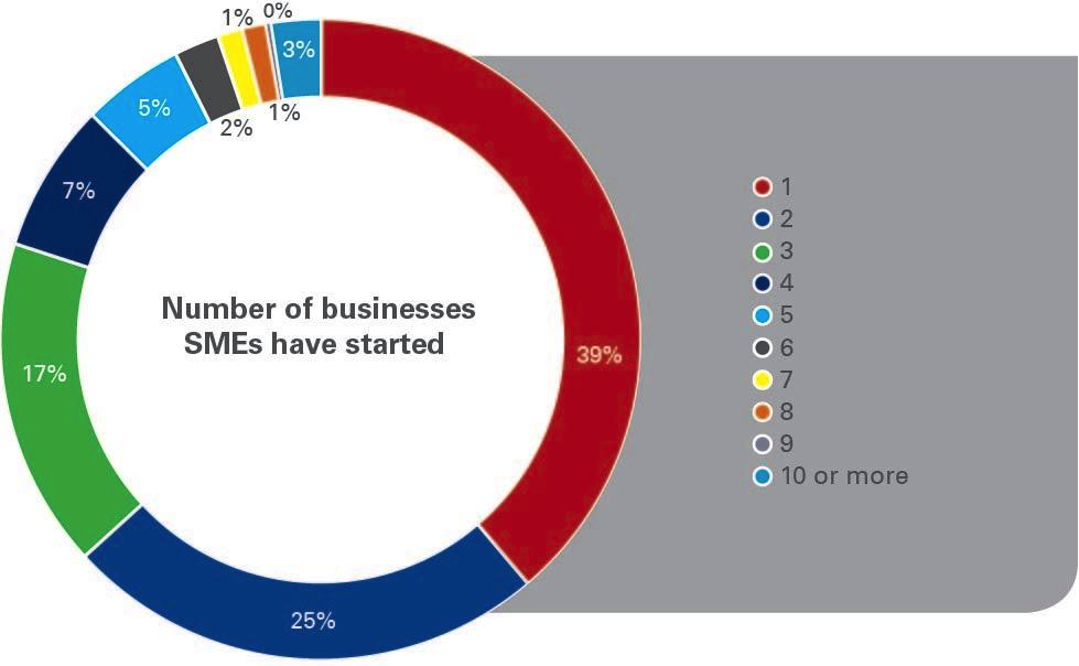 Number of businesses SMEs started survey