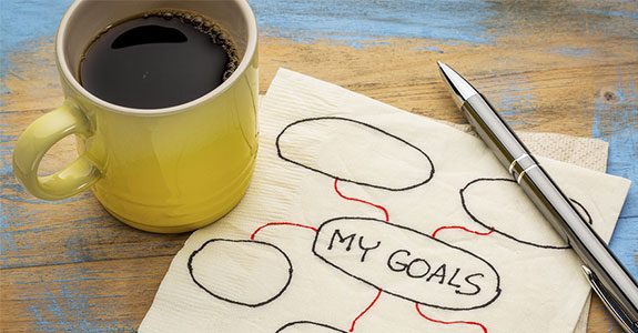 daily-goals-and-sales-objectives